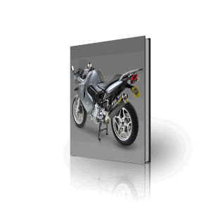 BMW F800ST
