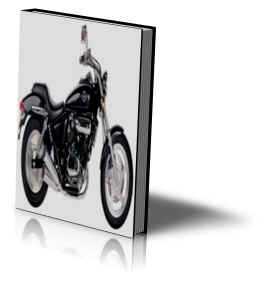 Honda VT250C Repair Manual