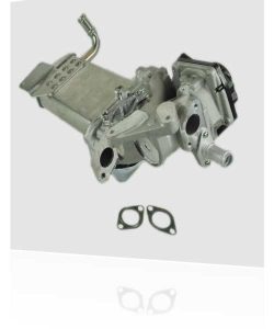 VW Amarok EGR Valve Problems